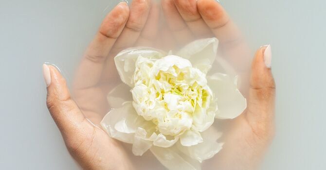 Instinctive Meditation